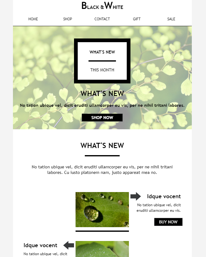 Image Rich Email Template